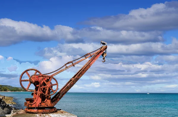 Old Rusty Crane and Pelican — Stock Photo, Image