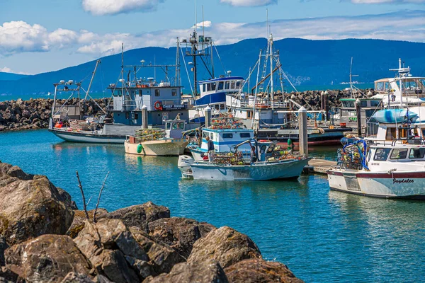 Barcos de pesca en Breakwater —  Fotos de Stock