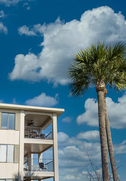 Tropical Condo and Palm Tree — Stock Photo, Image