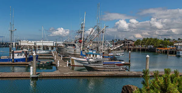 Marina i nordvästra Stilla havet — Stockfoto