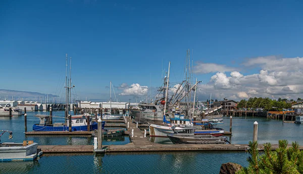 Marina i nordvästra Stilla havet — Stockfoto