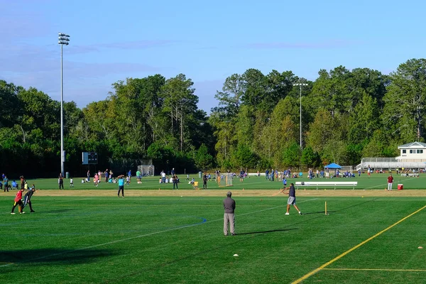 Cricket Match on Green Field — Stock Photo, Image