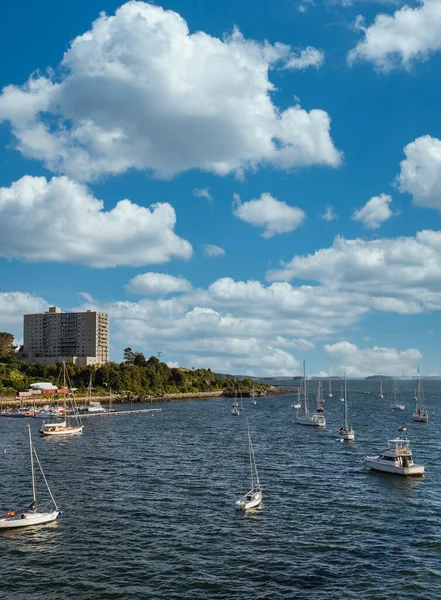 Witte Zeilboten in Baai van Portland — Stockfoto