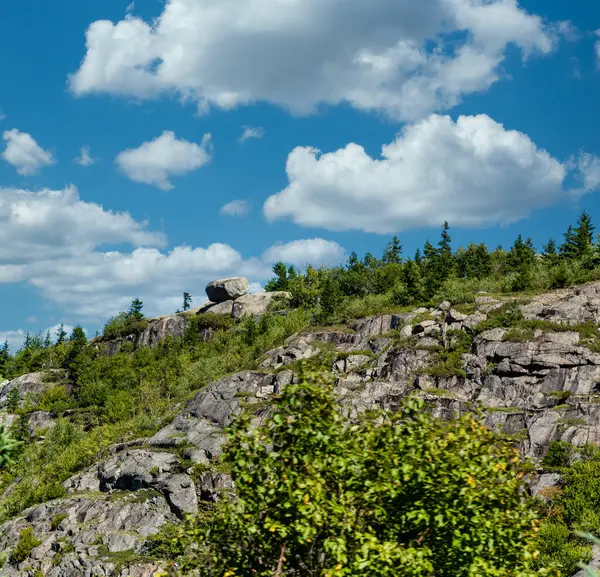 Greenery Over Rocky Hill in Maine — Stock Photo, Image