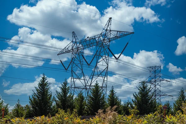 High Power Lines Over Trees — Stock Photo, Image