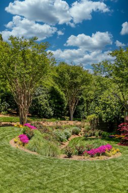 Mor Çiçekler ve Bahçedeki Krep Myrtle