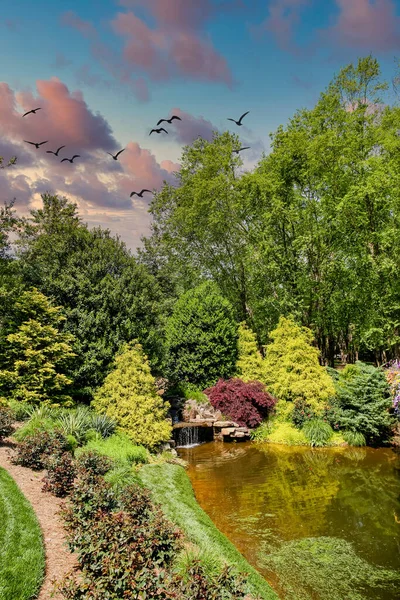 Rybník v upravené zahradě — Stock fotografie