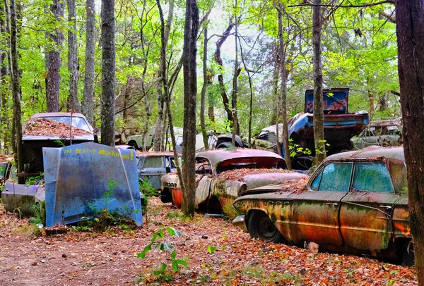 Hoods and Trunks in Junkyard — Stock Photo, Image