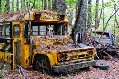 Ormandaki Terk Edilmiş Okul Otobüsü