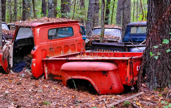Vieja camioneta roja en Woods — Foto de Stock