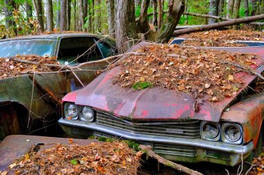 Eski Buick 'te Kırık Başlıklı