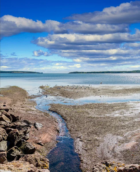 Piscina de marea en la costa canadiense —  Fotos de Stock