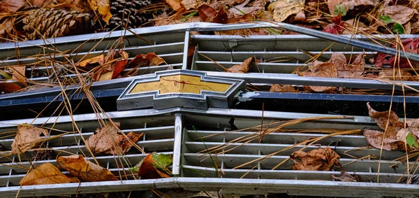 Старая Chevy Grill в листьях — стоковое фото