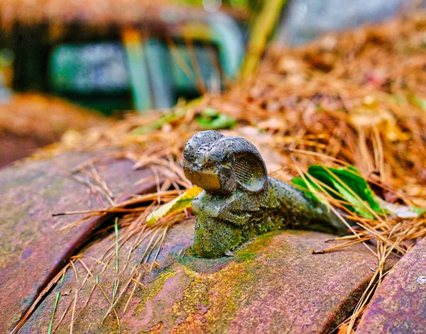 Ram huva prydnad — Stockfoto