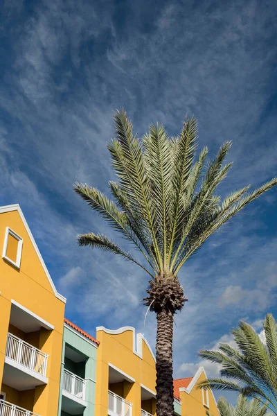 Palm Tree by Yellow Hotel — Stock Photo, Image