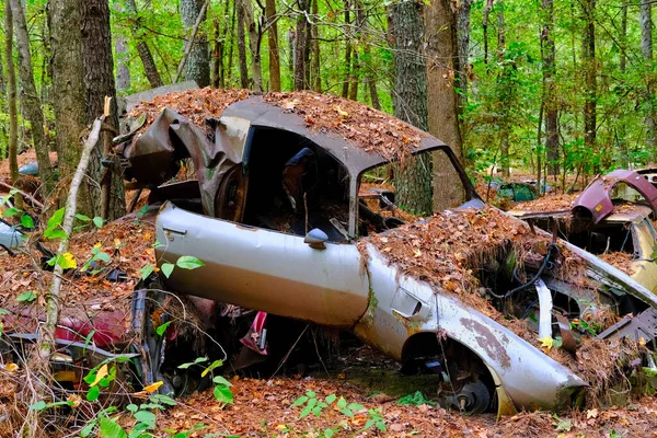 Trans Am s'est écrasé dans les bois — Photo