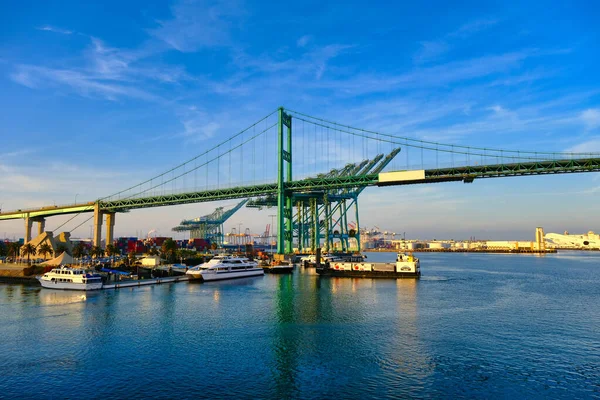 Мост Винсента Томаса над яхтами — стоковое фото
