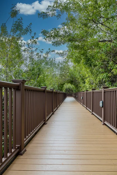 Wood Walkway In Tropical Forest — Stock Photo, Image