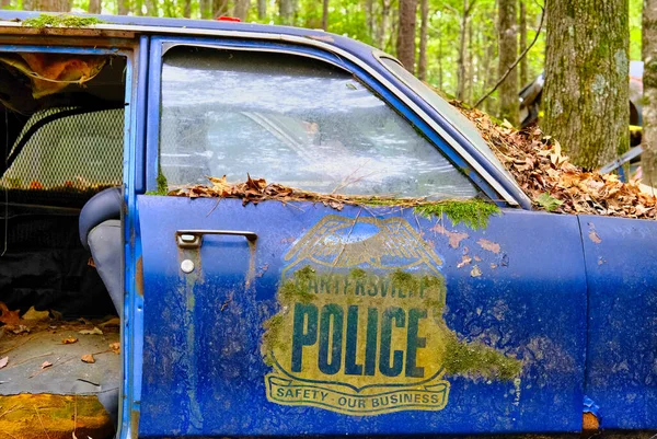 Cartersville carro de polícia — Fotografia de Stock