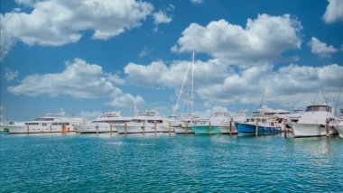 Key West 'teki Mavi Limanda Yatlar