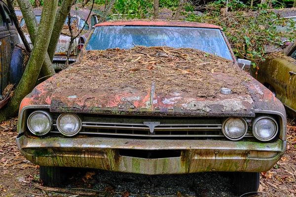 Tus Padres Oldsmobile — Foto de Stock