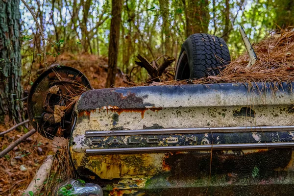 Viejo guardabarros de halcón — Foto de Stock