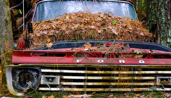 Alter Ford in Pinestroh beschmiert — Stockfoto
