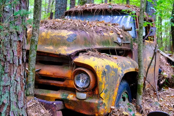 Старый разбитый грузовик в деревьях — стоковое фото