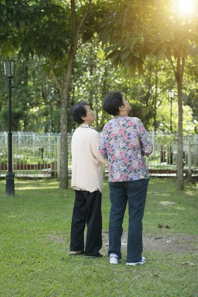 Bakre Visa asiatiska äldre kvinnor promenader — Stockfoto
