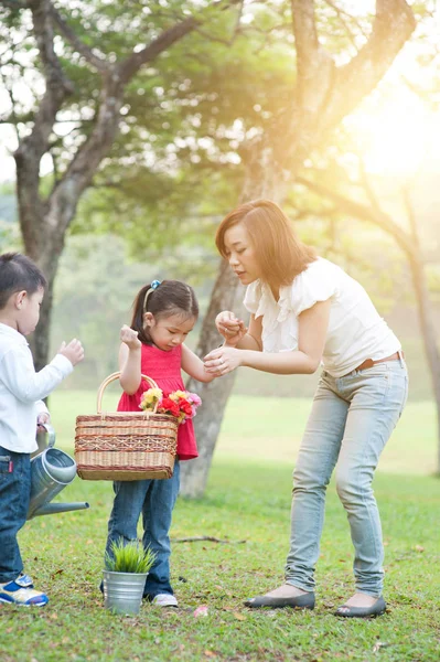 母亲和儿童的生活方式，在自然公园. — 图库照片