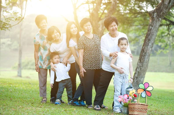 Gran grupo de Asia multi generaciones de la familia — Foto de Stock