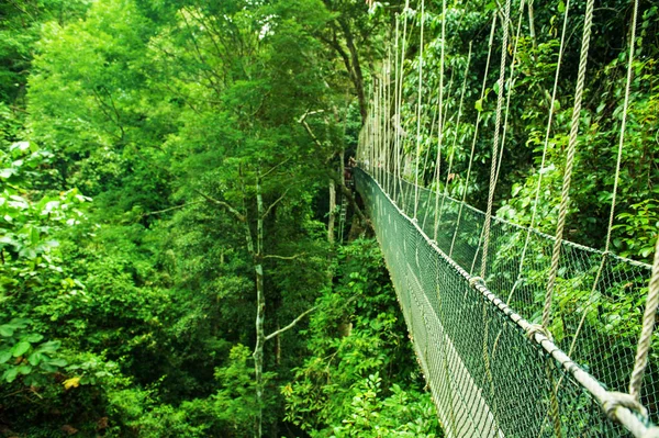 Luifel brug Maleisië — Stockfoto