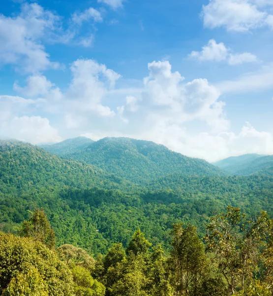 Foresta tropicale vista sulle montagne . — Foto Stock