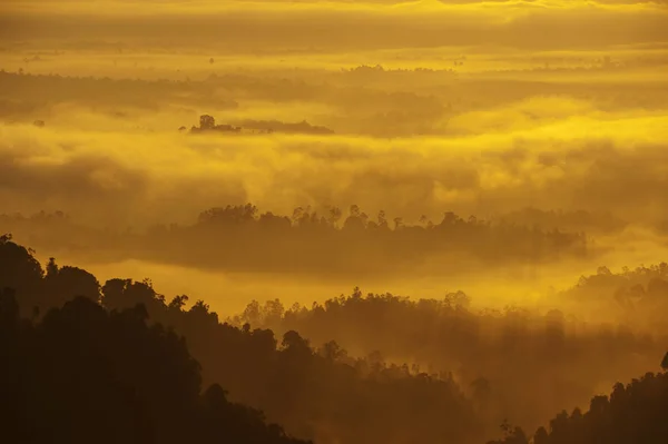 Cordillera en niebla — Foto de Stock