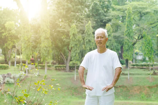 Oude man het beoefenen van tai chi buiten — Stockfoto