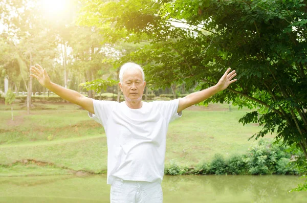 Senior man practicing martial arts in the park — Stock Photo, Image