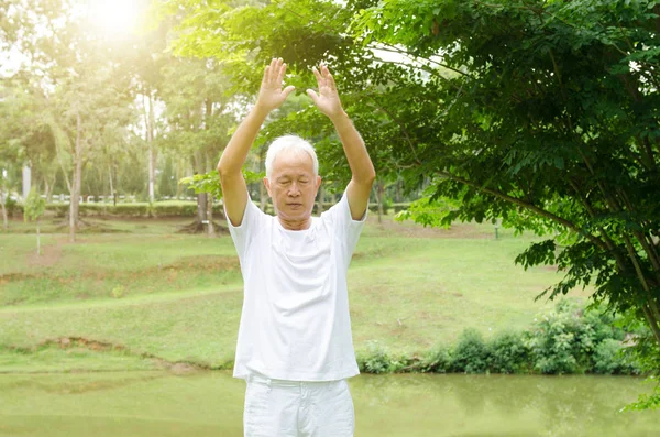 Старі люди практикують бойові мистецтва в парку — стокове фото