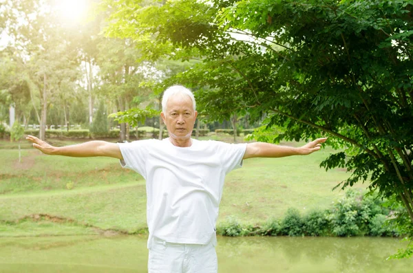Senioren üben Kampfkunst im Park — Stockfoto