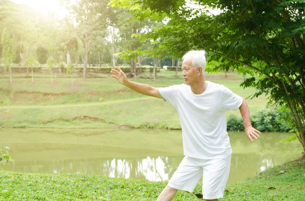 Idosos praticando qigong no parque — Fotografia de Stock