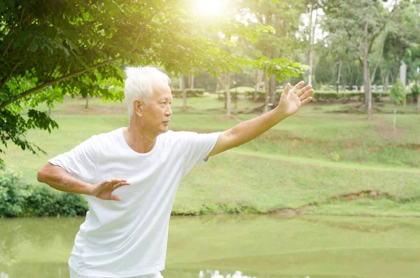Old people practicing qigong in the park — Stock Photo, Image