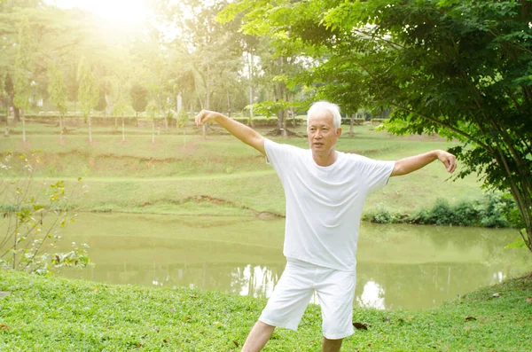 Ázsiai öreg a parkban qigong gyakorlás — Stock Fotó