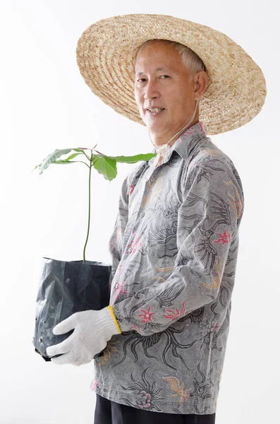 Asyalı yaşlı çiftçi — Stok fotoğraf