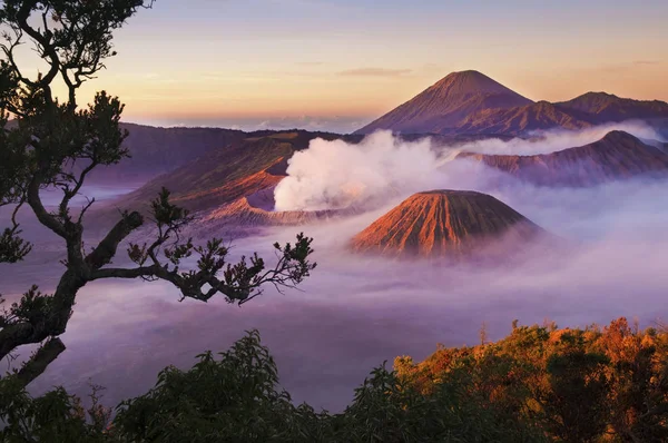 Όρος Μπρόμο Ινδονησία — Φωτογραφία Αρχείου