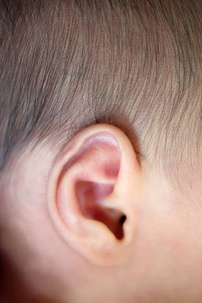 关闭新生儿婴儿耳 — 图库照片