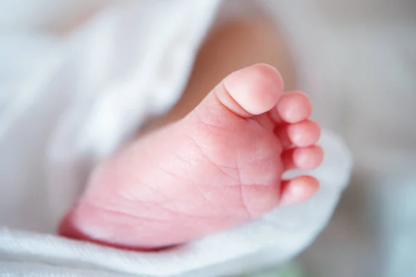 Nyfödd baby foot — Stockfoto