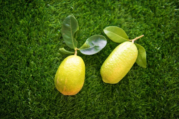 De biologische citroenen bovenaanzicht op gazon — Stockfoto