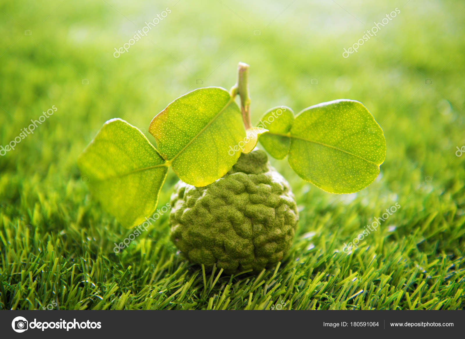 GRATUITAMENTE LIME SCARICARE