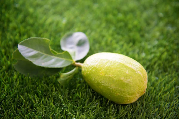 Limón orgánico fresco en el césped —  Fotos de Stock