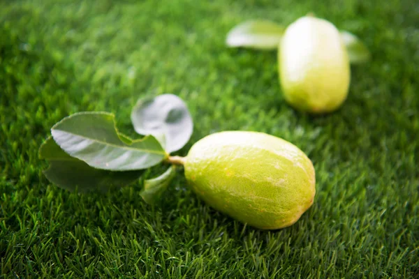 Limones orgánicos en el césped —  Fotos de Stock