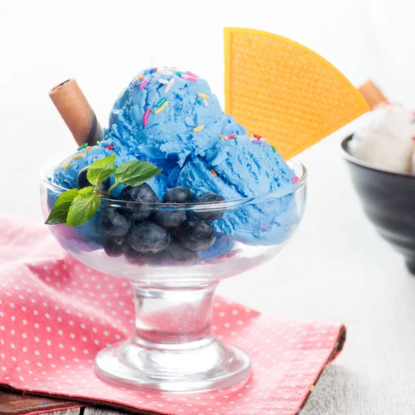 Blueberry ice cream bowl — Stockfoto